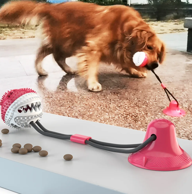 Rutschfester Leckerli-Ball für endlosen Hundespaß!