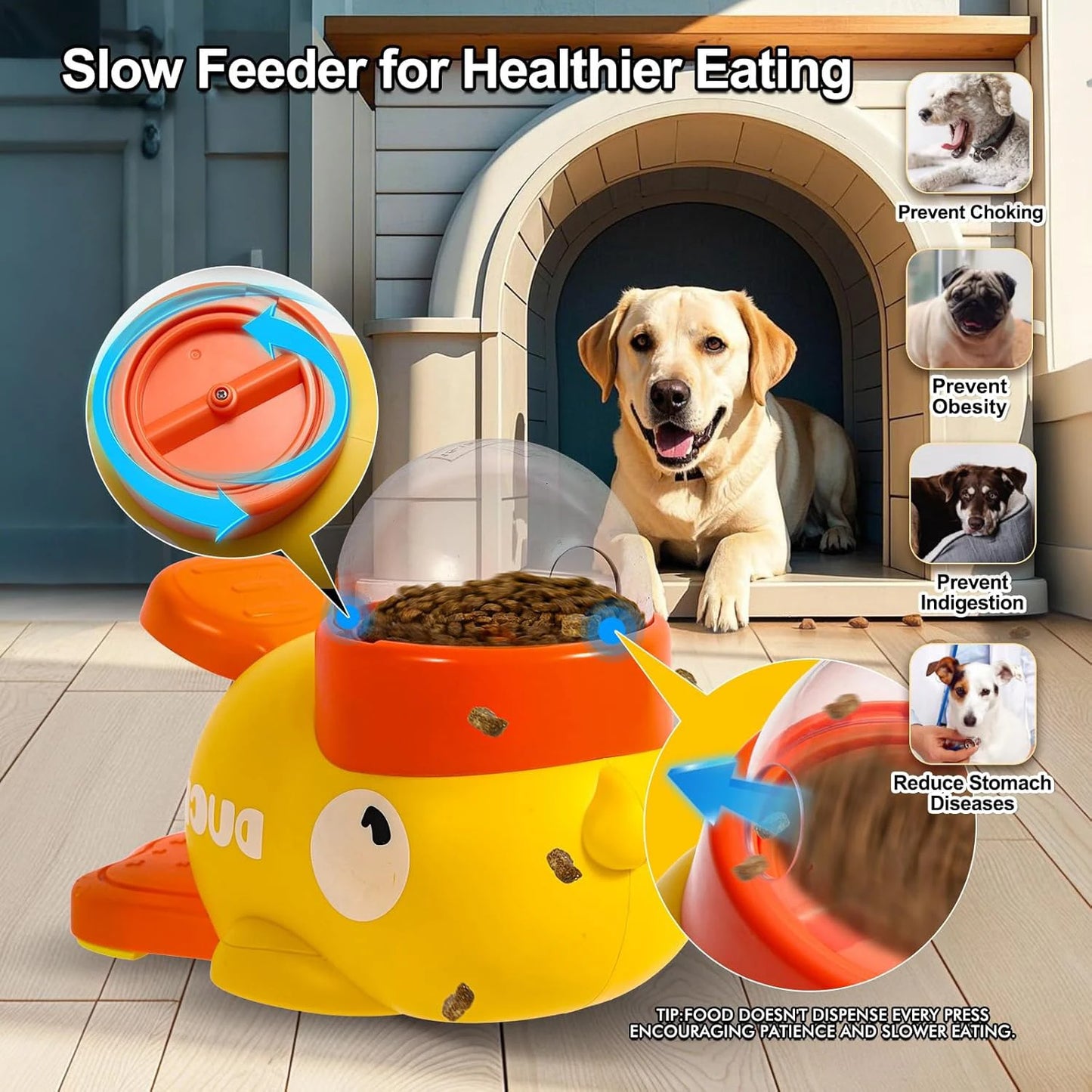Automatischer Futterspender für Hunde und Katzen: Lustiger Spender für Training und Mahlzeiten!