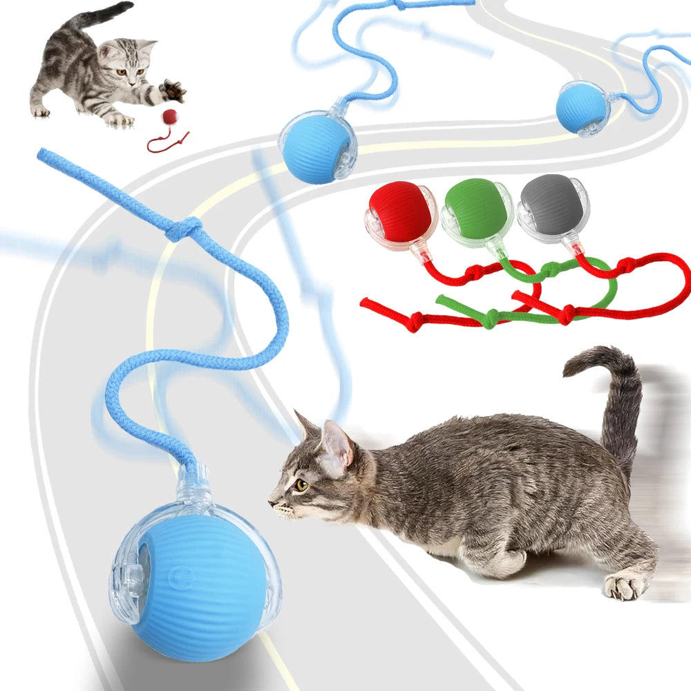 Interactive Tail Ball for Cats - Smart, Rechargeable Playtime Fun!