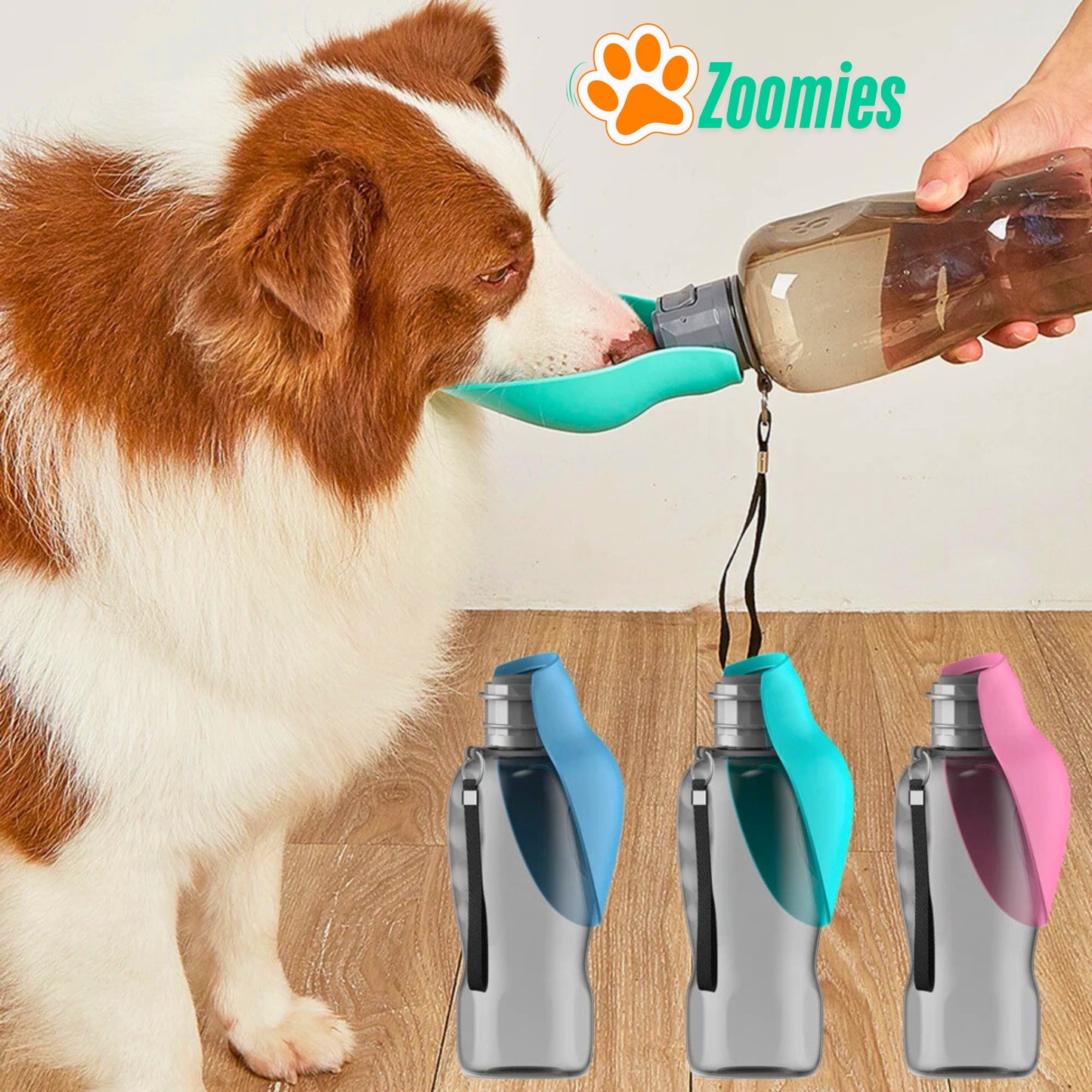 Hydration On-The-Go for Your Furry Friend! - 800ml