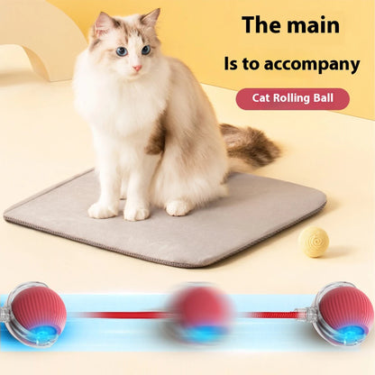 Interaktiver Schwanzball für Katzen – intelligenter, wiederaufladbarer Spielspaß!